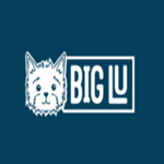 big-lu.com